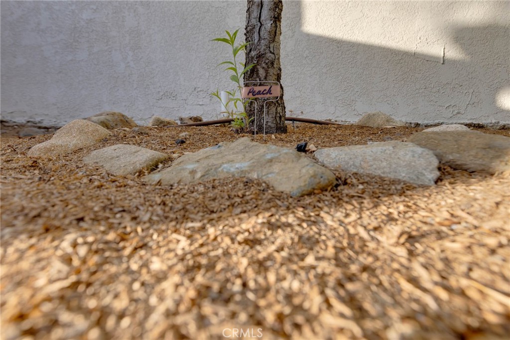 31952 Mill Stream Road Trabuco Canyon, CA 92679 - Photo 28 of 74