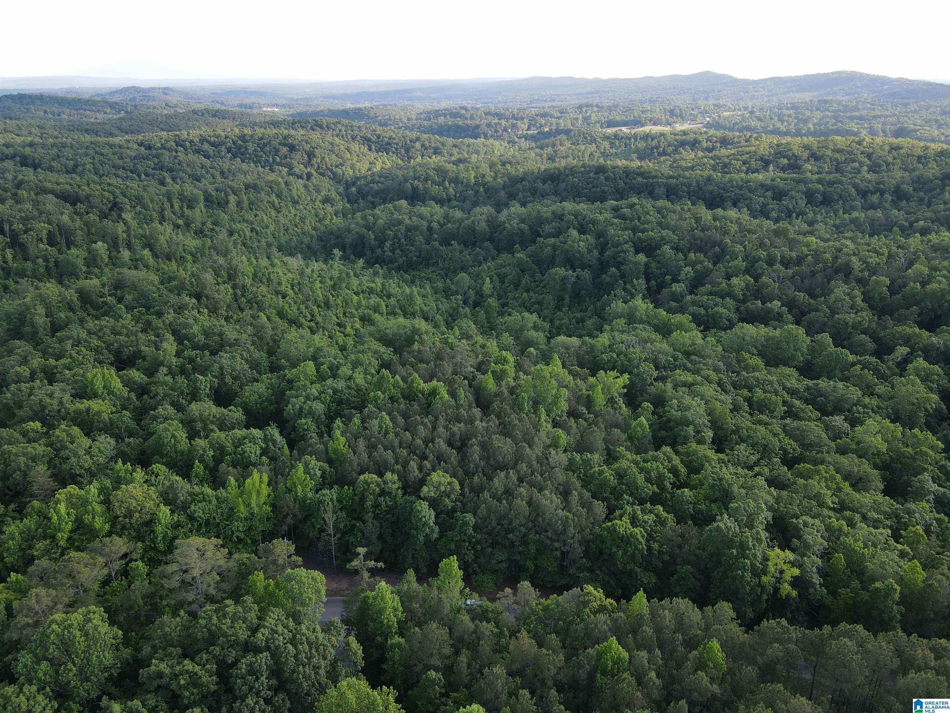 1 Goodner Mountain Road, Unit 1 Pinson, AL 35126 - Photo 14 of 19