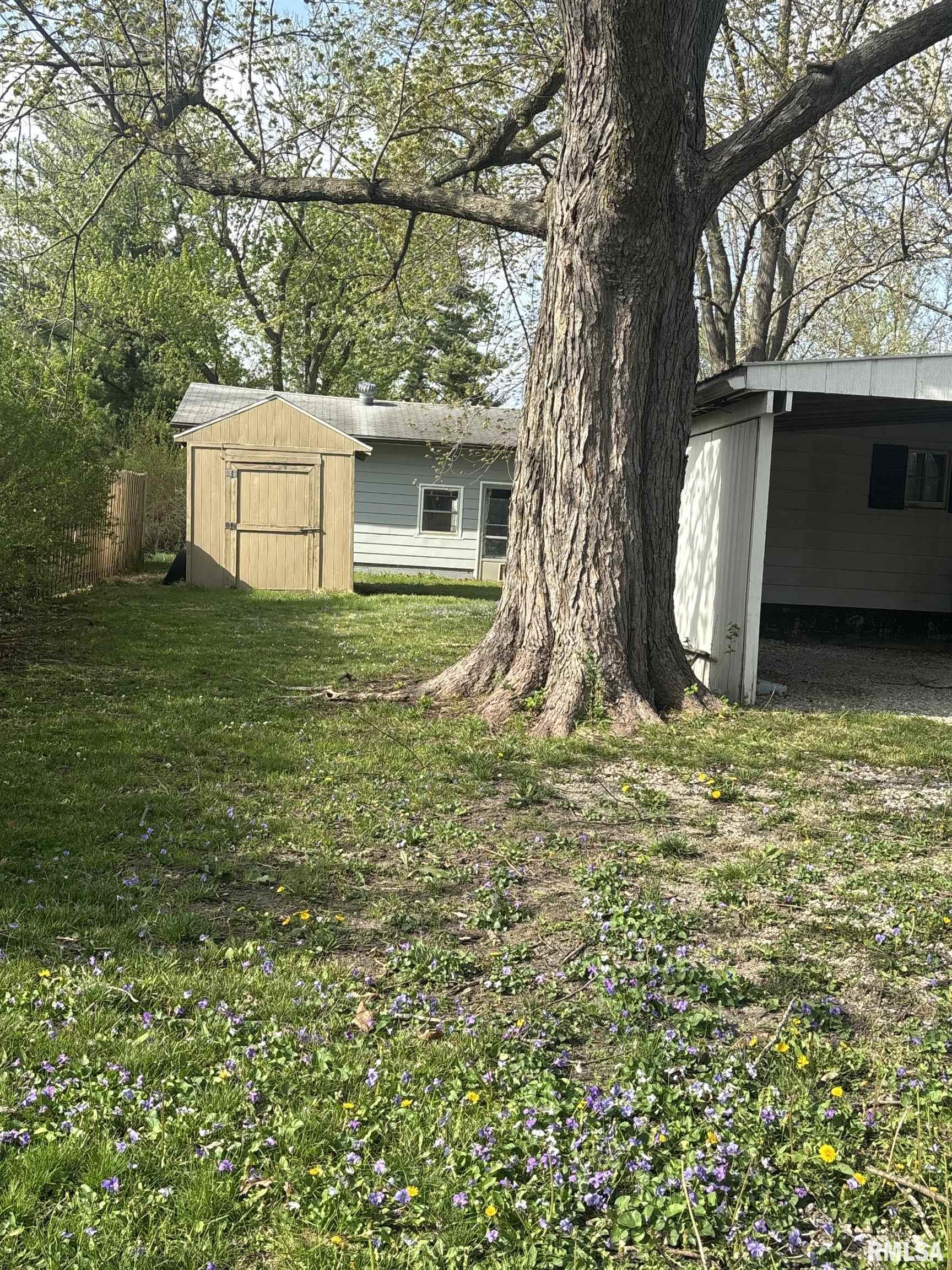 710 East Jackson Street Cuba, IL 61427 - Photo 2 of 25