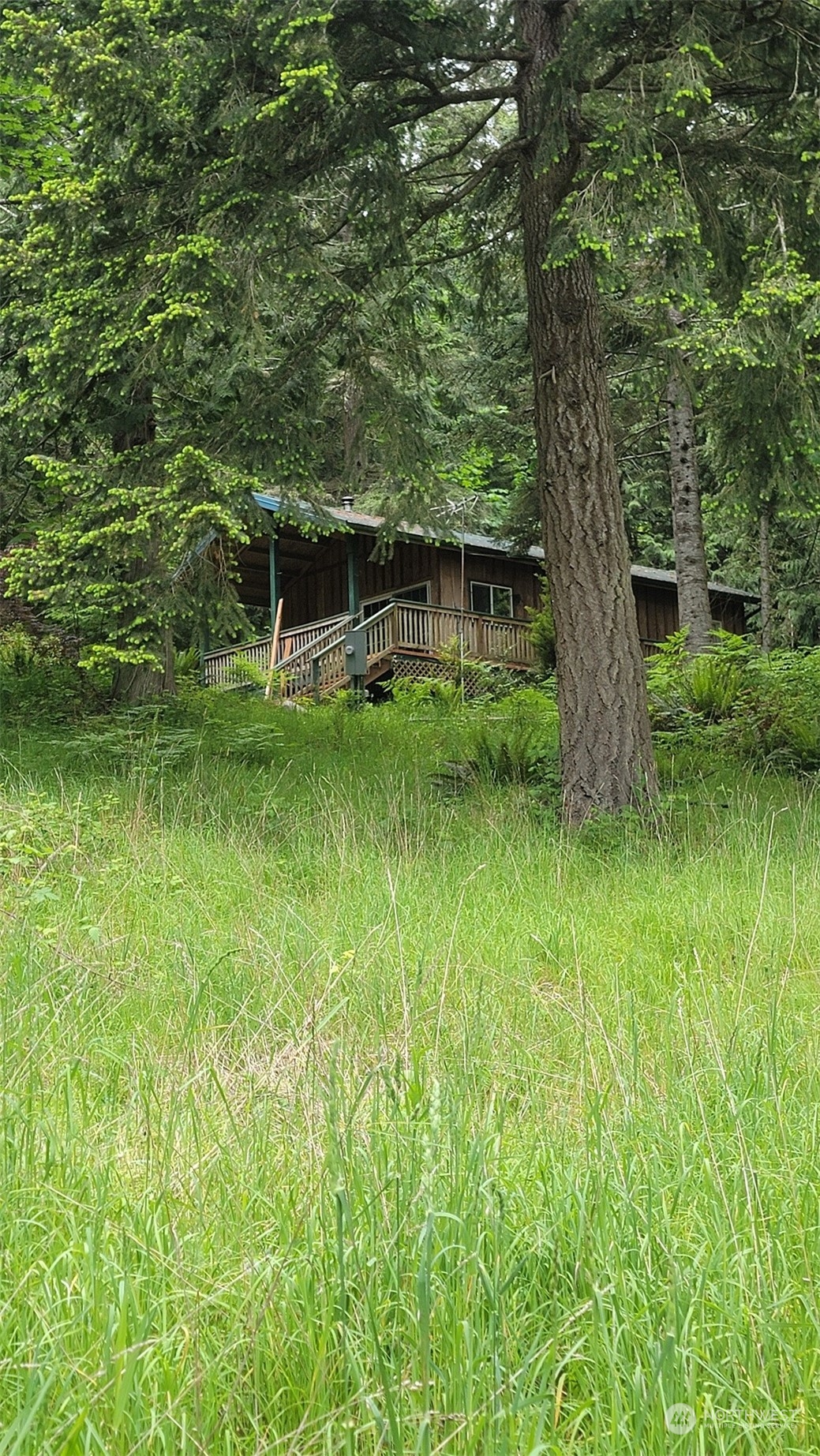 590 West Egg And I Road Chimacum, WA 98325 - Photo 1 of 1 a backyard of a house with plants and large trees