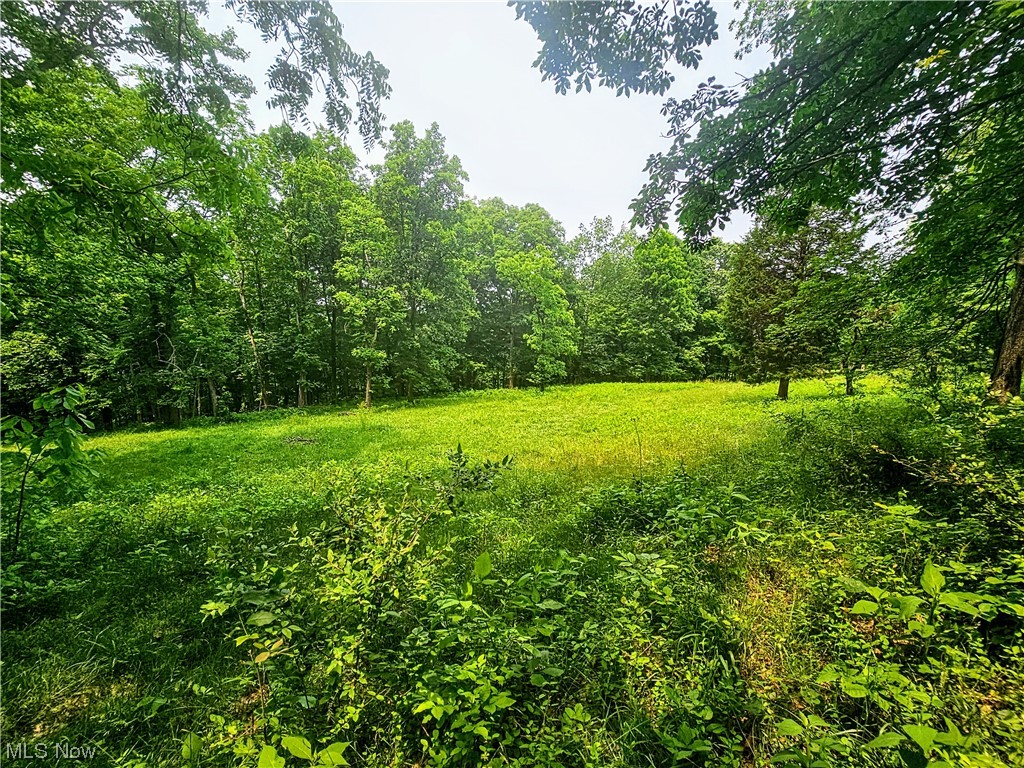 0 Buck Road Leon, WV 25123 - Photo 4 of 25