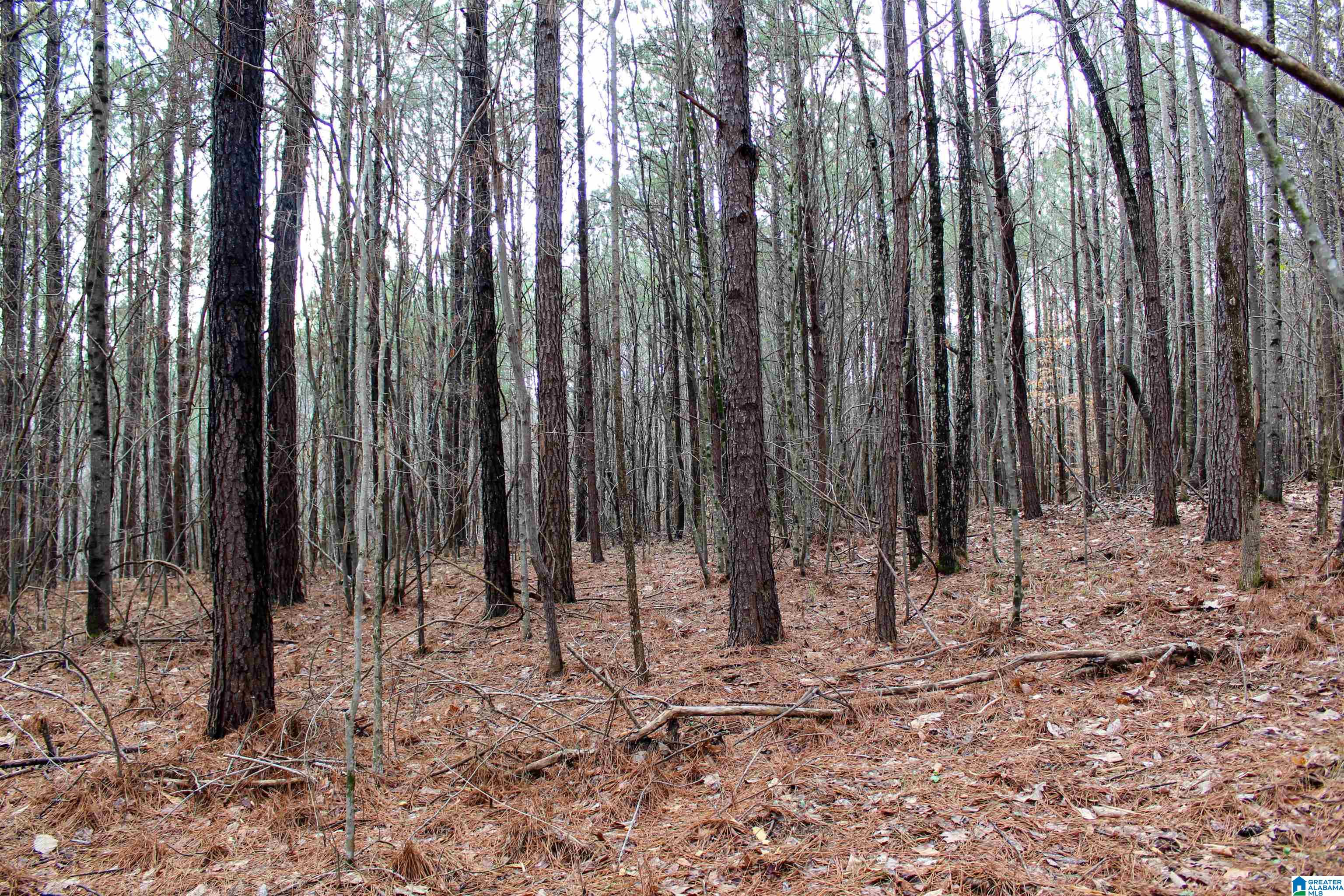 2327 Jett Town Road Mulga, AL 35118 - Photo 16 of 33