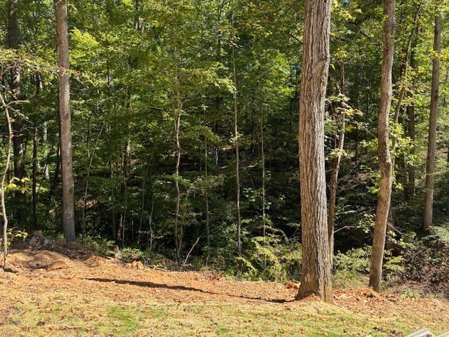 3206 Hunziker Lane Fairview, TN 37062 - Photo 64 of 75 a view of a backyard of the house