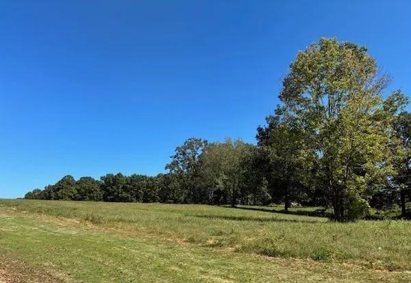 $1,383,600 | 3206 Hunziker Lane, Fairview, TN 37062
