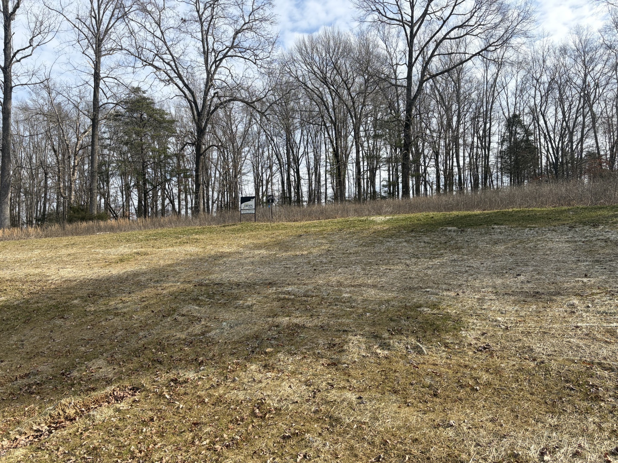 3206 Hunziker Lane Fairview, TN 37062 - Photo 73 of 75 a view of outdoor space and yard
