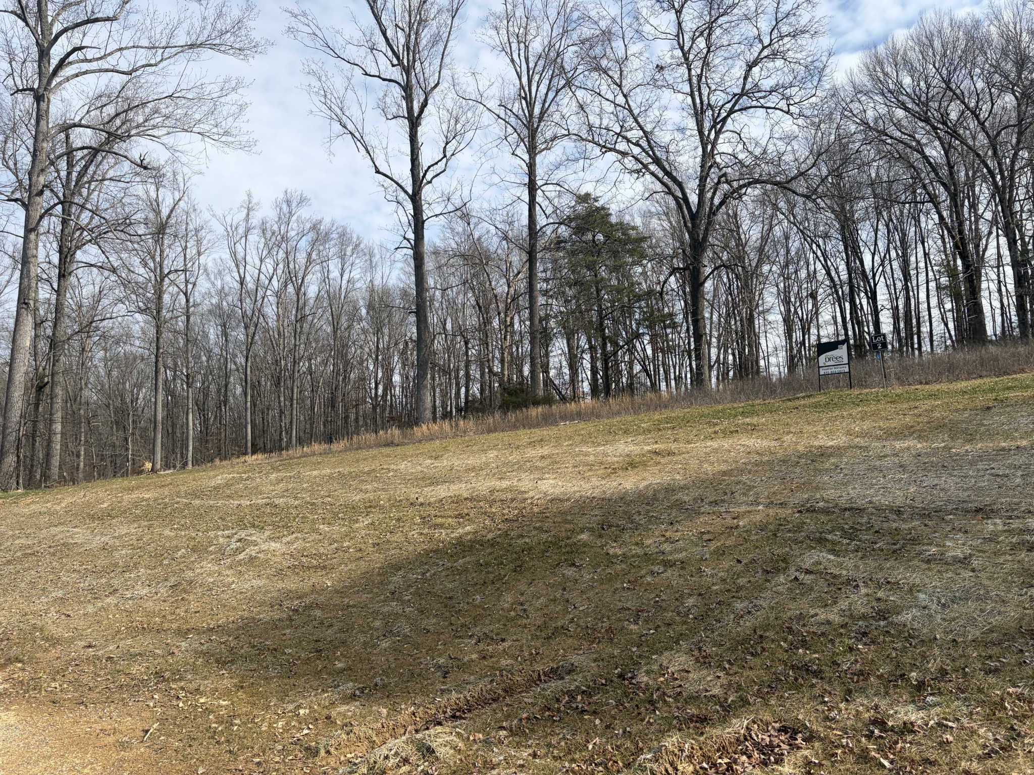 3206 Hunziker Lane Fairview, TN 37062 - Photo 74 of 75