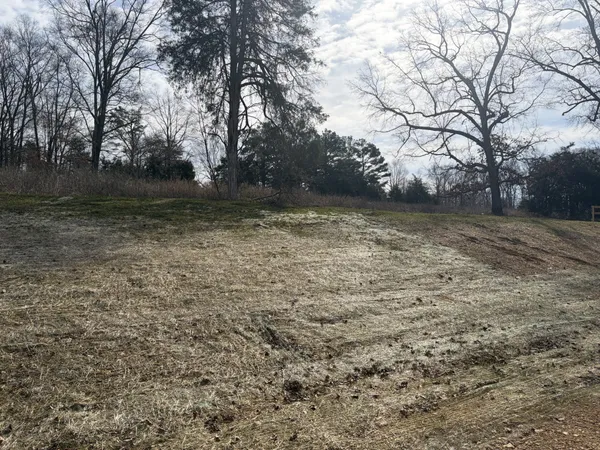 $1,383,600 | 3206 Hunziker Lane, Fairview, TN 37062