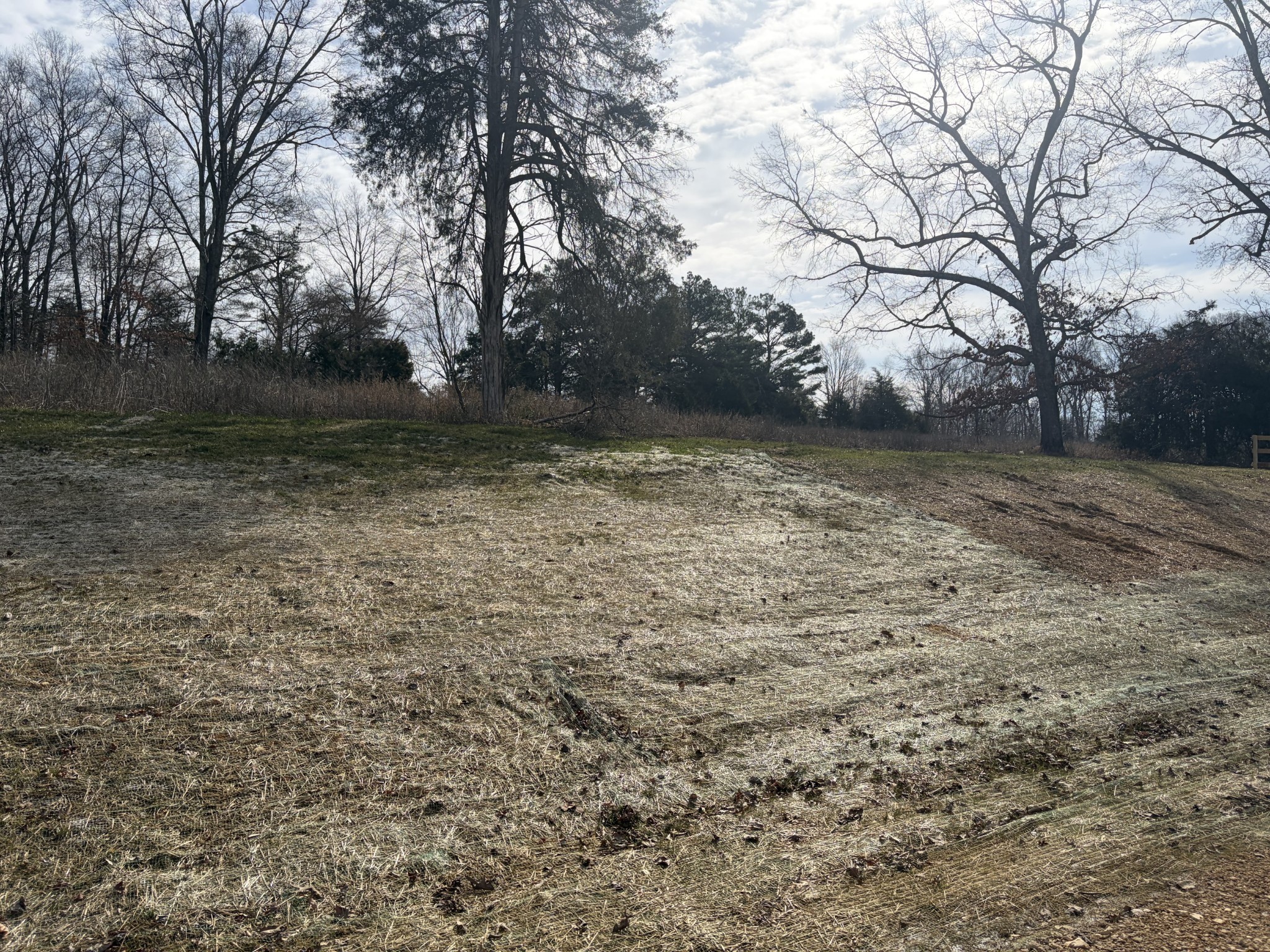 3206 Hunziker Lane Fairview, TN 37062 - Photo 75 of 75