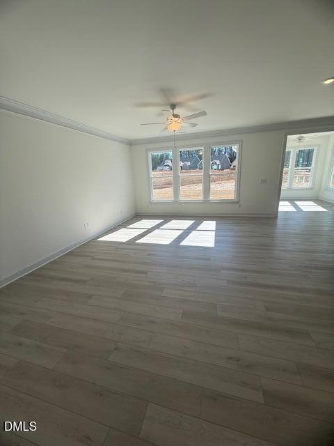 30 Slippery Elm Road Youngsville, NC 27596 - Photo 13 of 34 IMG_6381