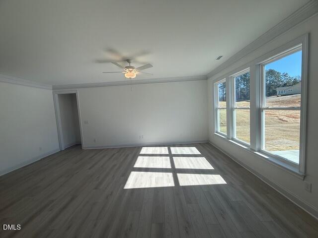 30 Slippery Elm Road Youngsville, NC 27596 - Photo 14 of 34 IMG_6388