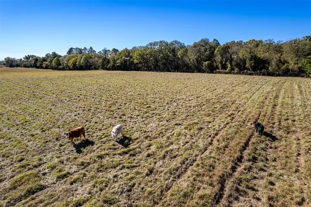a view of lake view and mountain