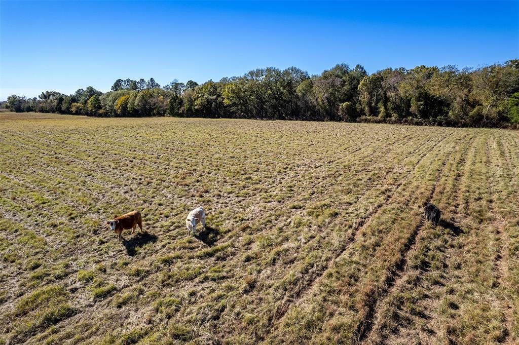 0 Fm 1504 Wills Point Wills Point, TX 75169 - Photo 15 of 17 a view of lake with mountain