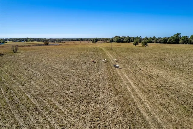 a view of an ocean beach and mountain