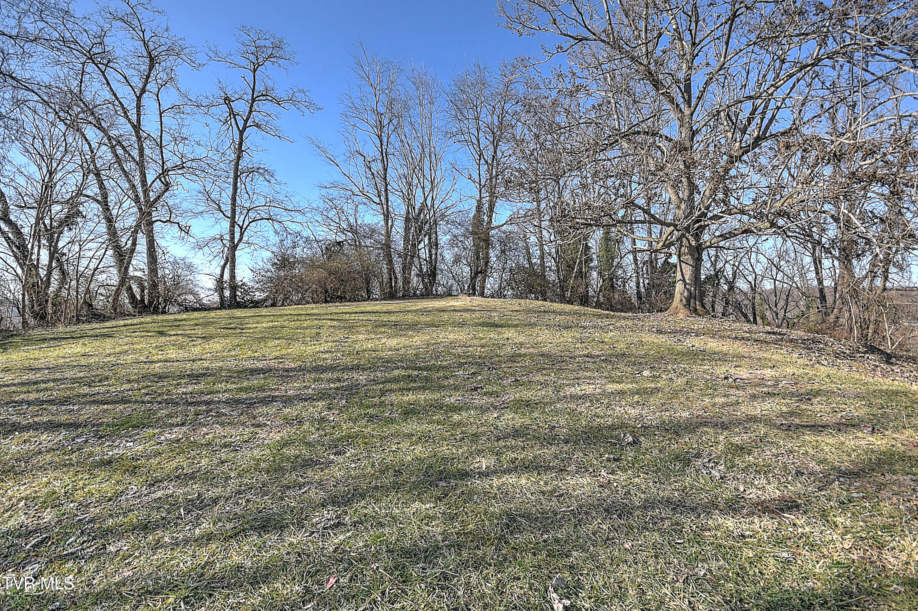 105 Ruth Street Bristol, TN 37620 - Photo 24 of 24 105 Ruth SR-5