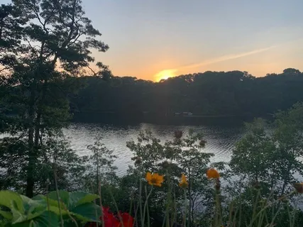 a view of a lake from a yard