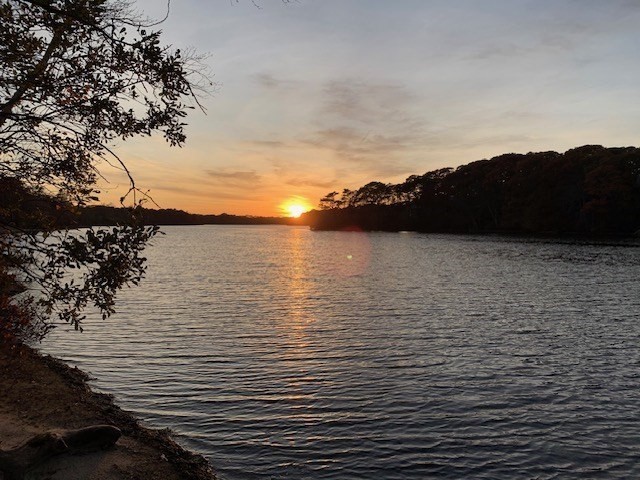 15 Sunset Pines Road Yarmouth, MA 02664 - Photo 36 of 40