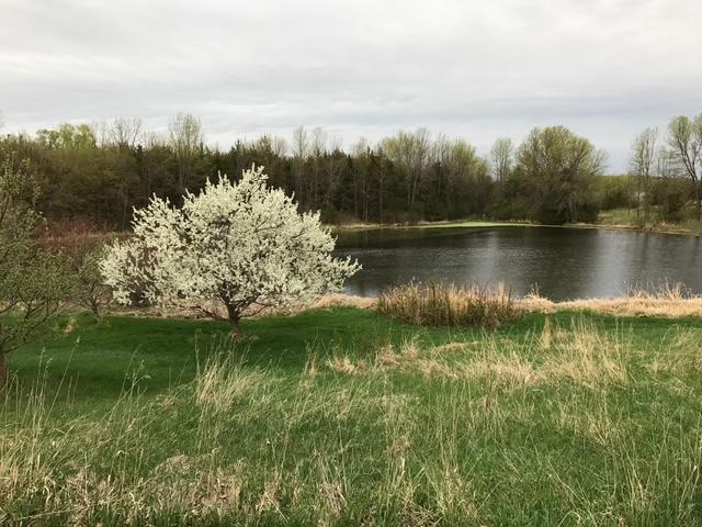 1755 Chateau Way Minnetrista, MN 55359 - Photo 101 of 125