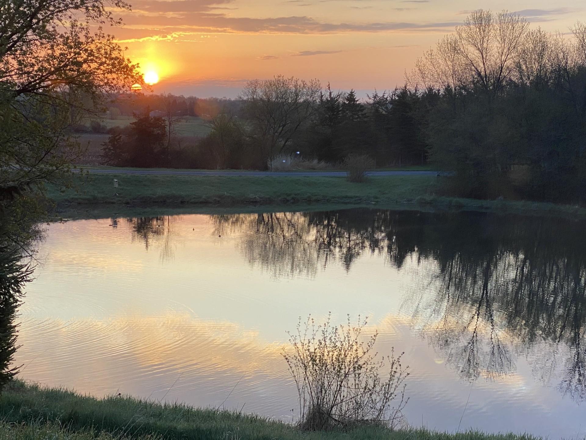 1755 Chateau Way Minnetrista, MN 55359 - Photo 105 of 125