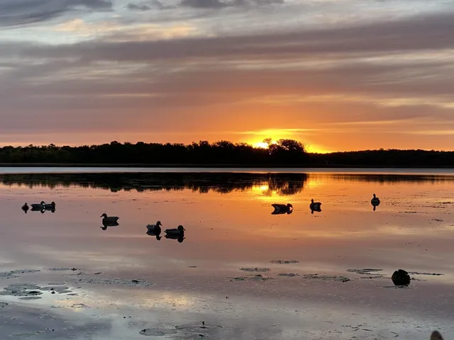 $1,495,000 | 1755 Chateau Way, Minnetrista, MN 55359