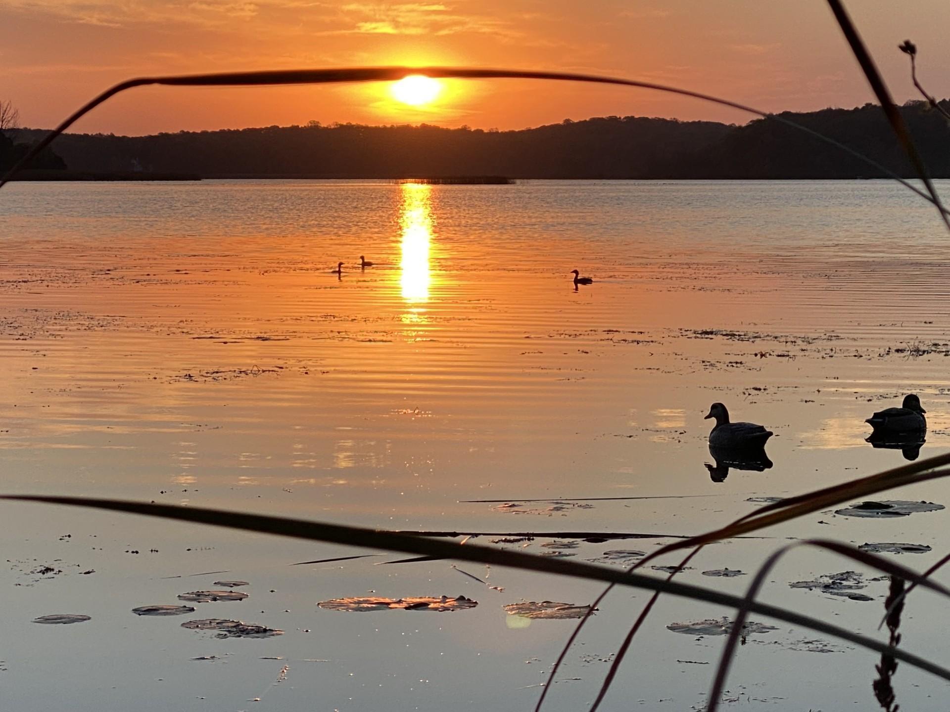 1755 Chateau Way Minnetrista, MN 55359 - Photo 107 of 125