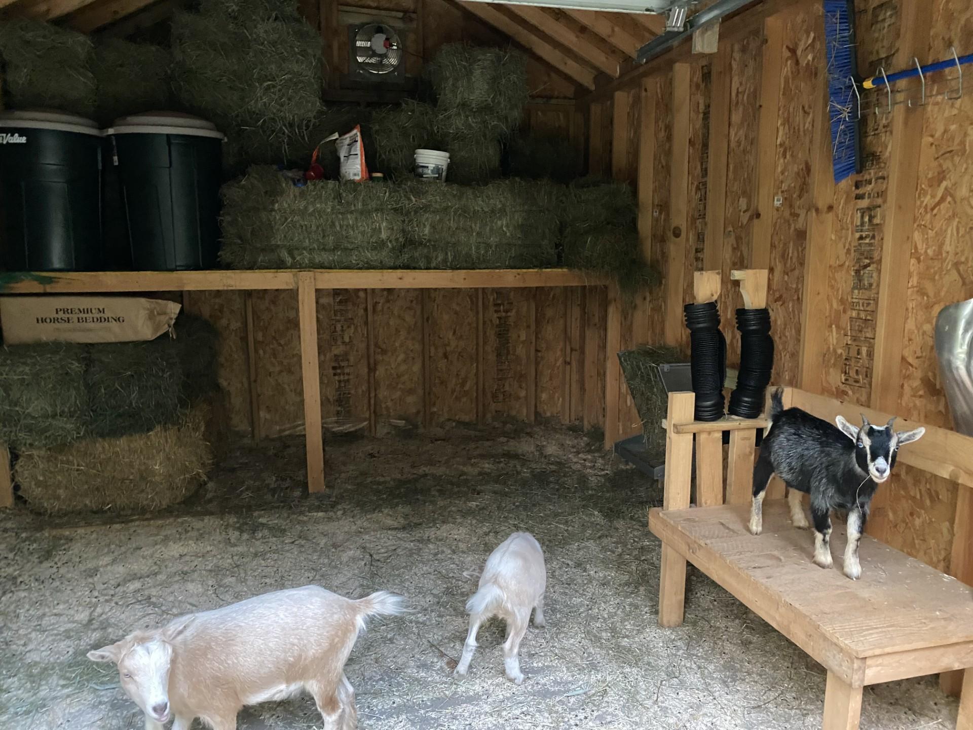 1755 Chateau Way Minnetrista, MN 55359 - Photo 112 of 125