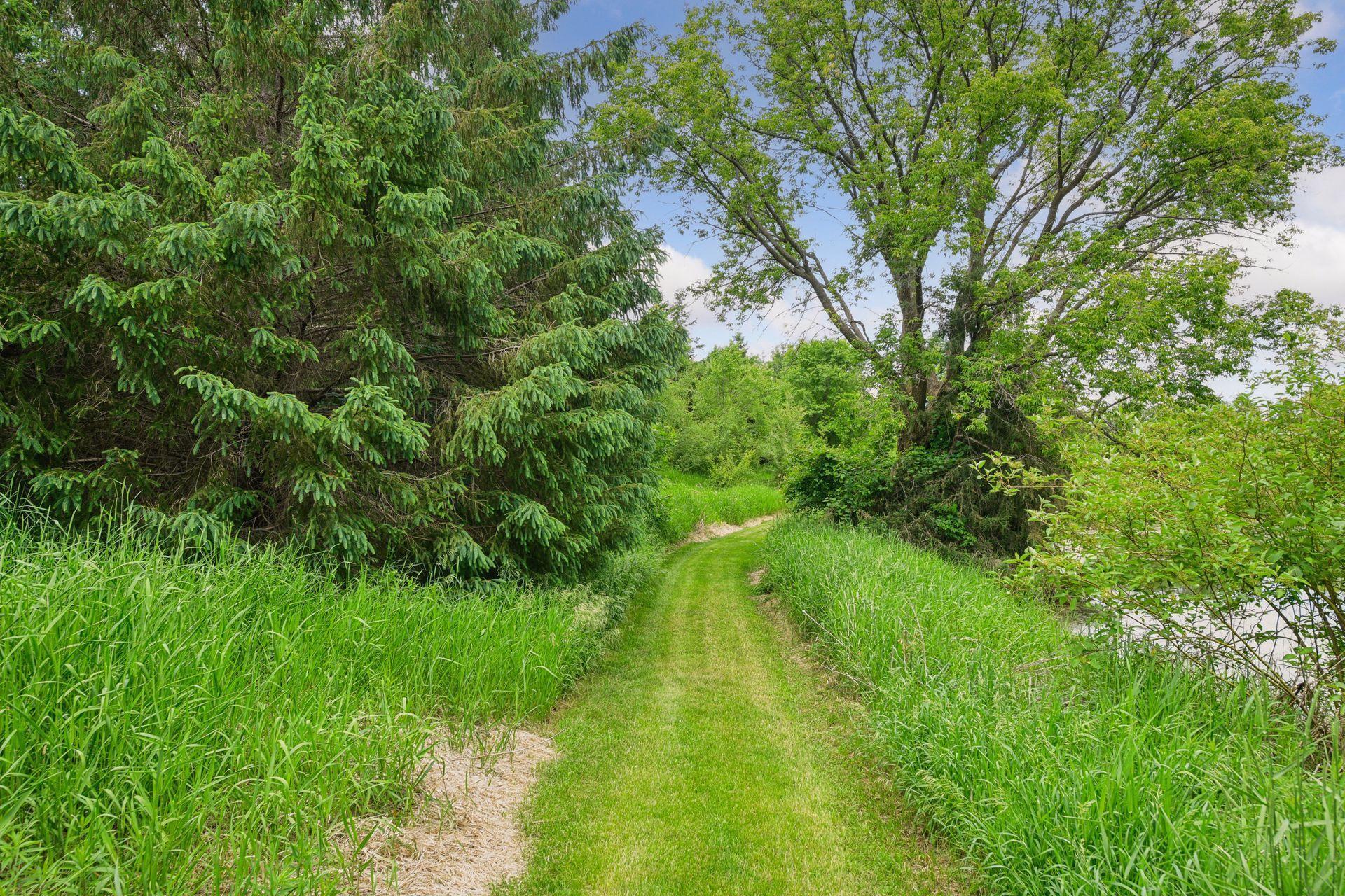 1755 Chateau Way Minnetrista, MN 55359 - Photo 78 of 125