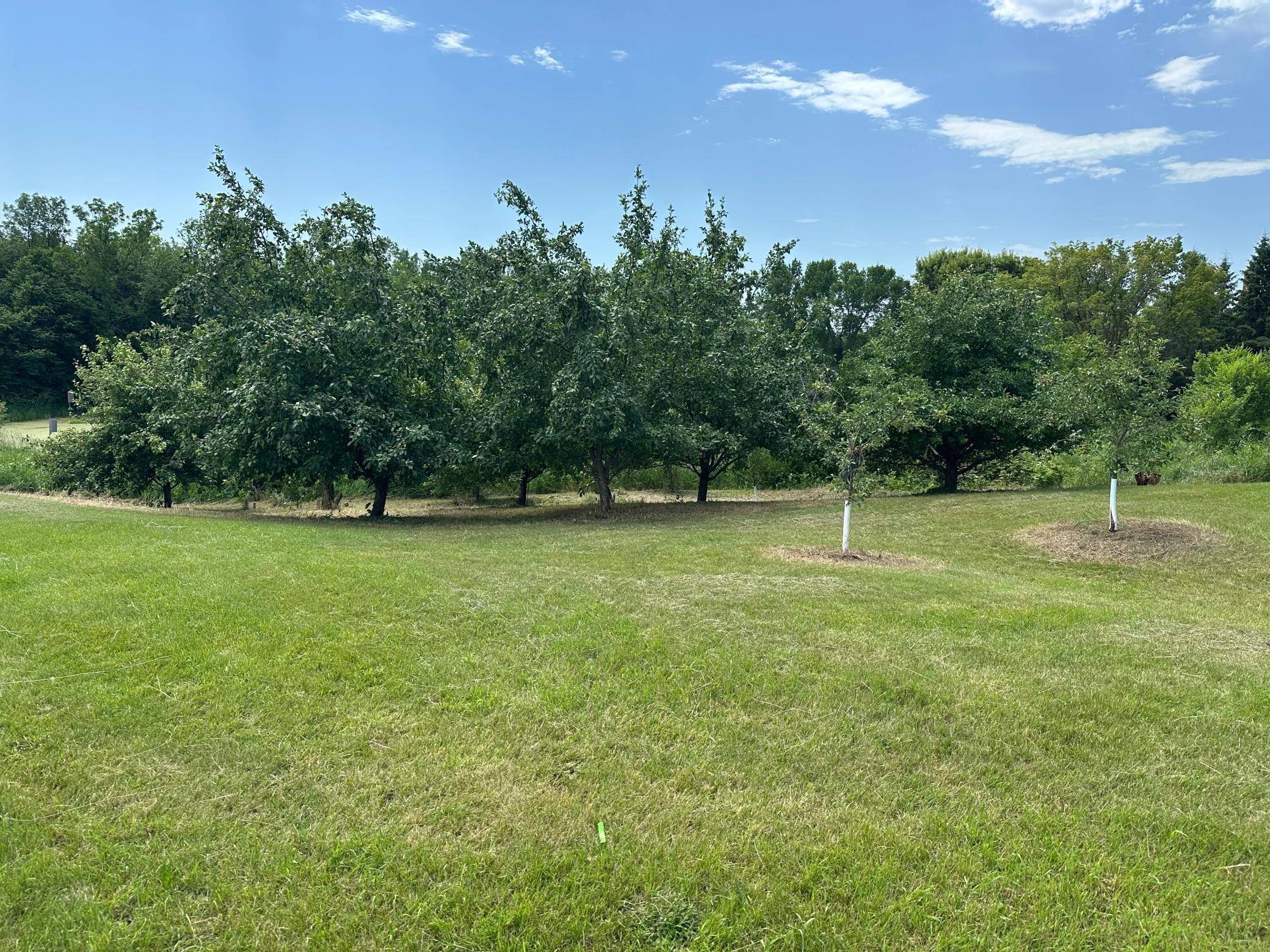 1755 Chateau Way Minnetrista, MN 55359 - Photo 81 of 125