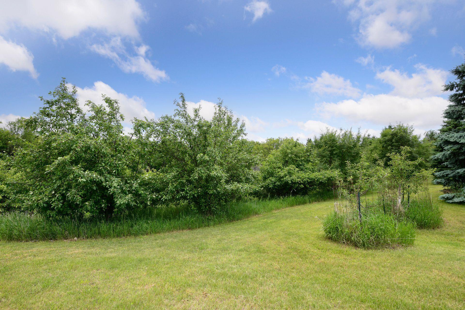 1755 Chateau Way Minnetrista, MN 55359 - Photo 82 of 125