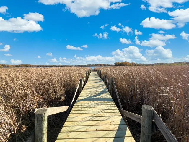 $1,495,000 | 1755 Chateau Way, Minnetrista, MN 55359