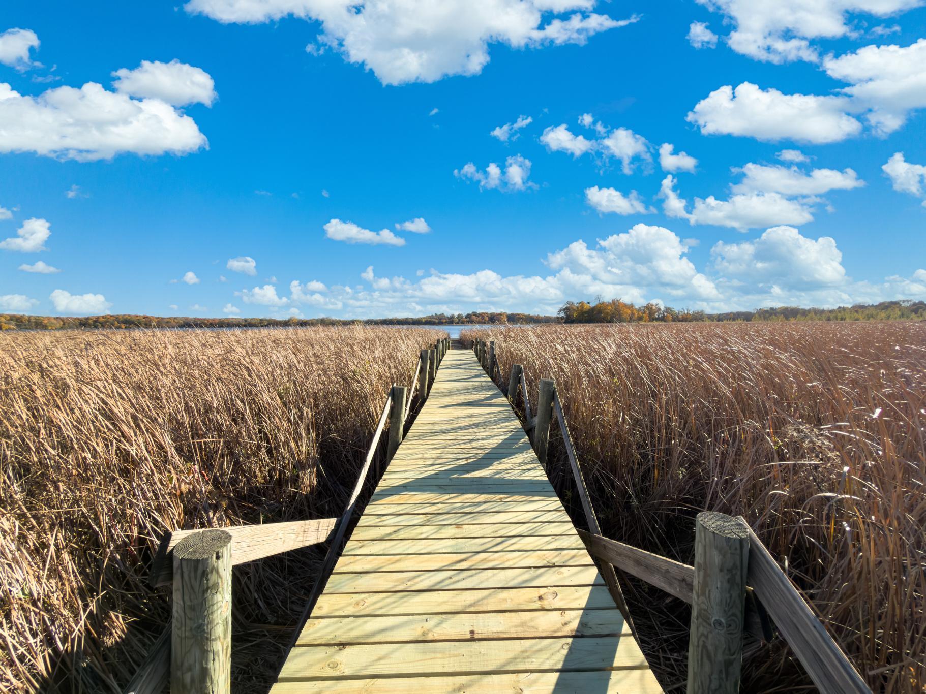 1755 Chateau Way Minnetrista, MN 55359 - Photo 92 of 125