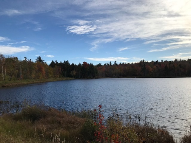 6 Fox Hill Road Stoddard, NH 03464 - Photo 22 of 24 Gallery Image 22