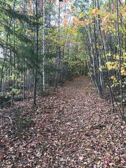6 Fox Hill Road Stoddard, NH 03464 - Photo 23 of 24 Gallery Image 23