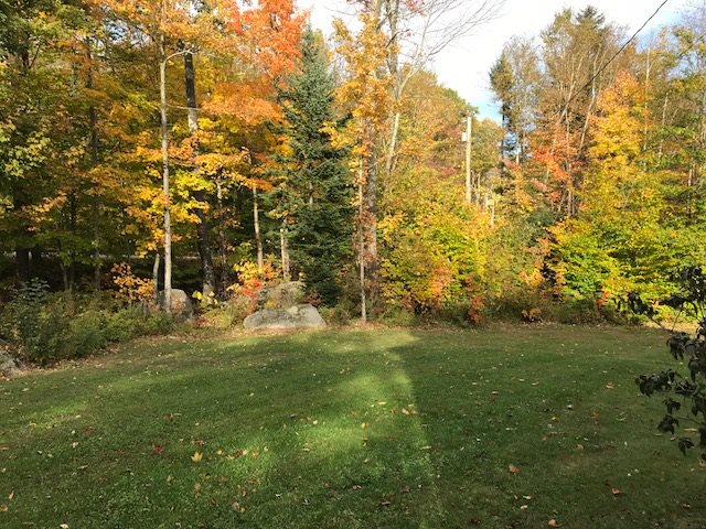 6 Fox Hill Road Stoddard, NH 03464 - Photo 24 of 24 Gallery Image 24