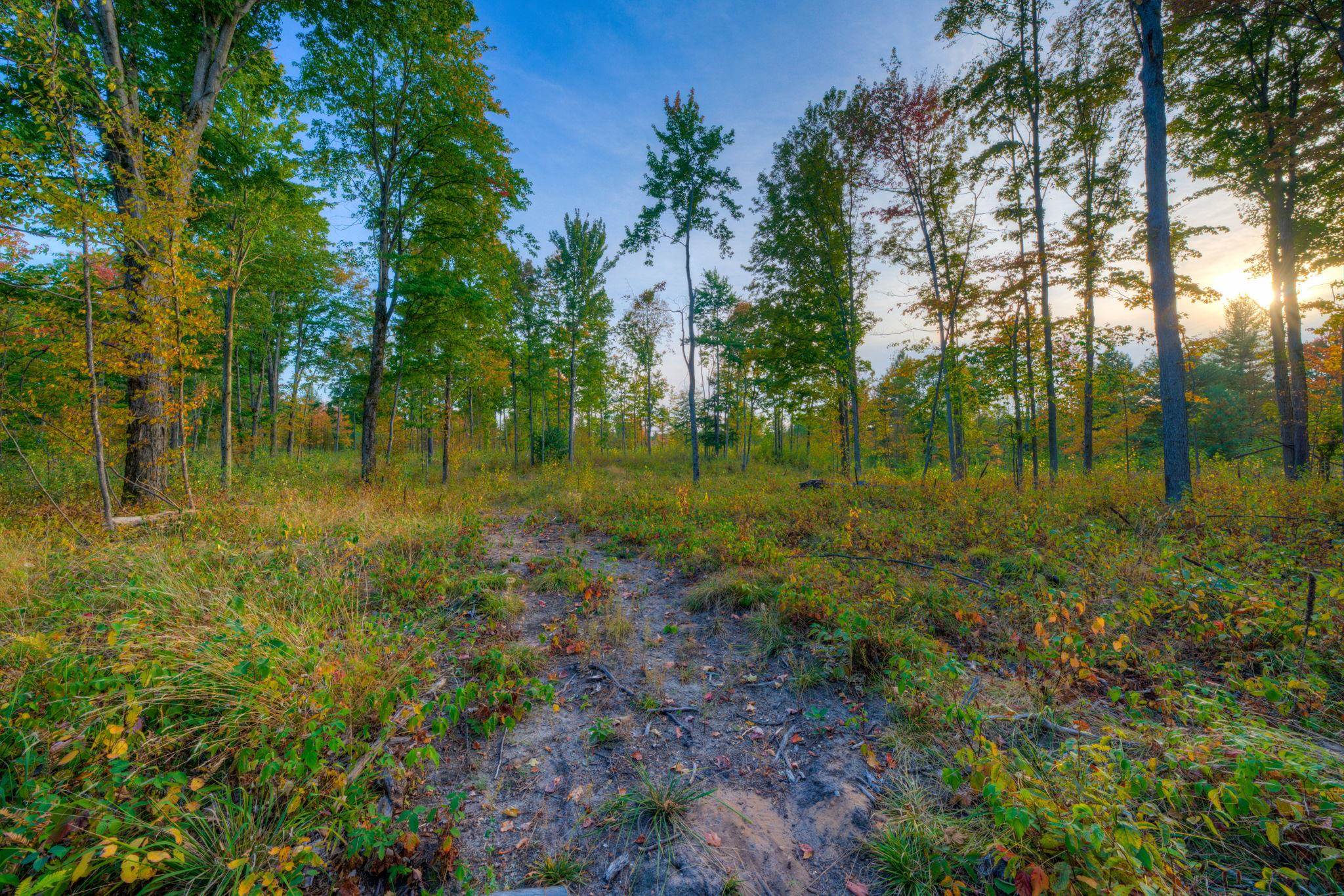 755 North Carmean Road Interlochen, MI 49643 - Photo 53 of 65