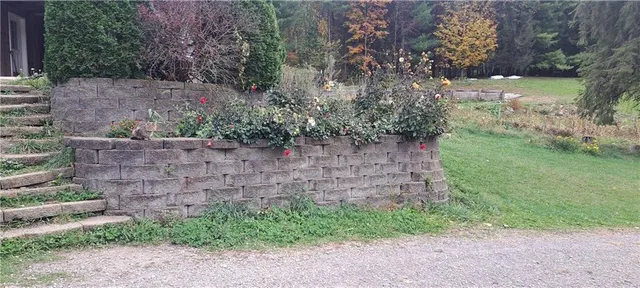 a view of a yard with plants and large trees