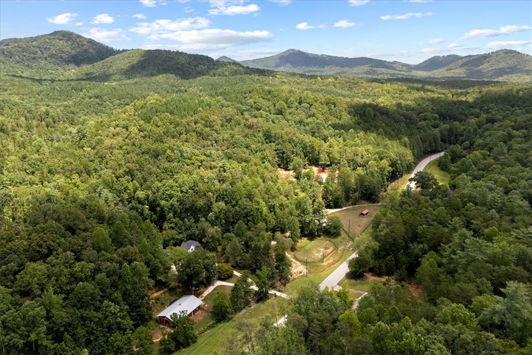 2707 Crowe Creek Road Sunset, SC 29685 - Photo 37 of 38