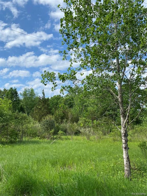 0 Kaiser Road Gregory, MI 48137 - Photo 29 of 29