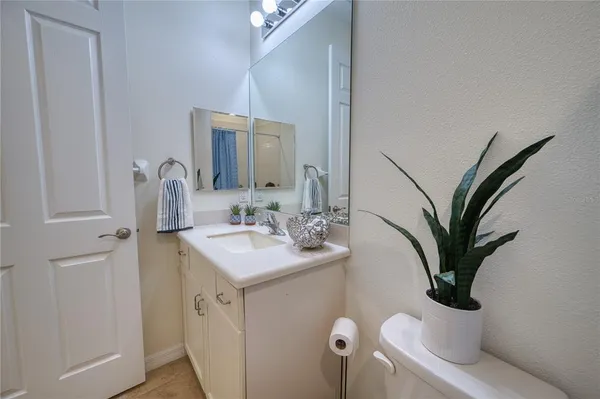 a bathroom with a sink a mirror and a potted plant