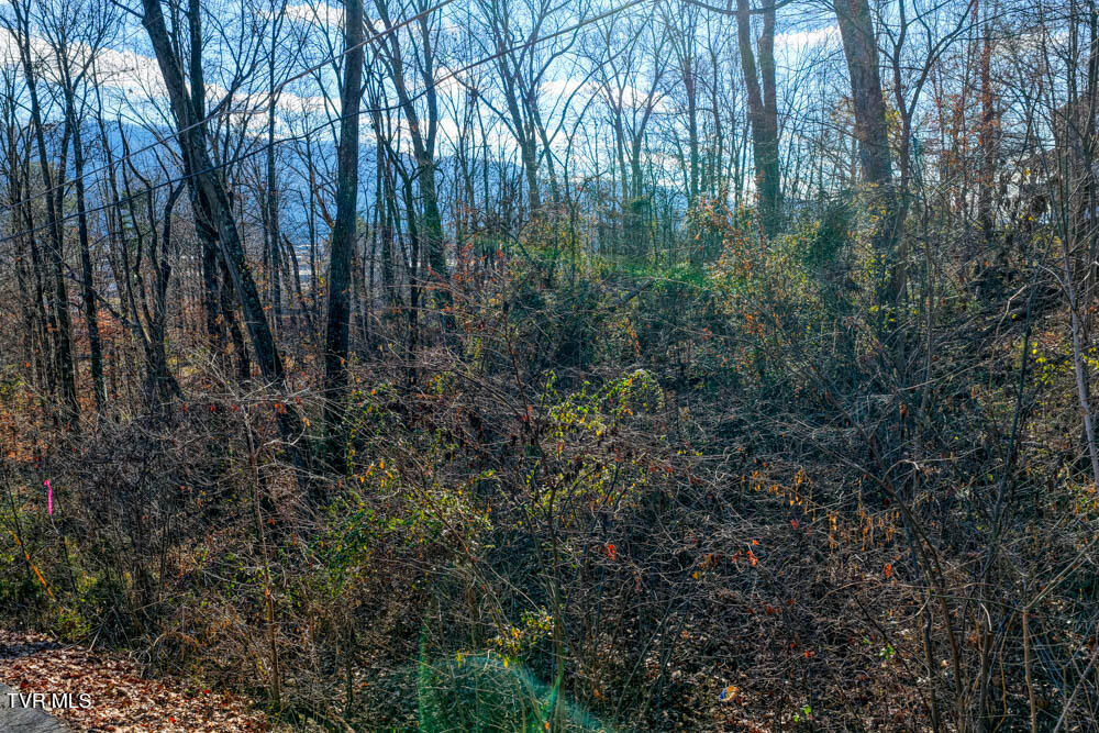 Tbd Blackheath Road, Unit 5 Kingsport, TN 37660 - Photo 4 of 10 IMG_9707