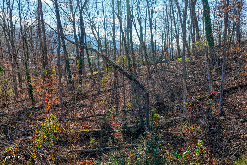 Tbd Blackheath Road, Unit 5 Kingsport, TN 37660 - Photo 5 of 10 IMG_9706