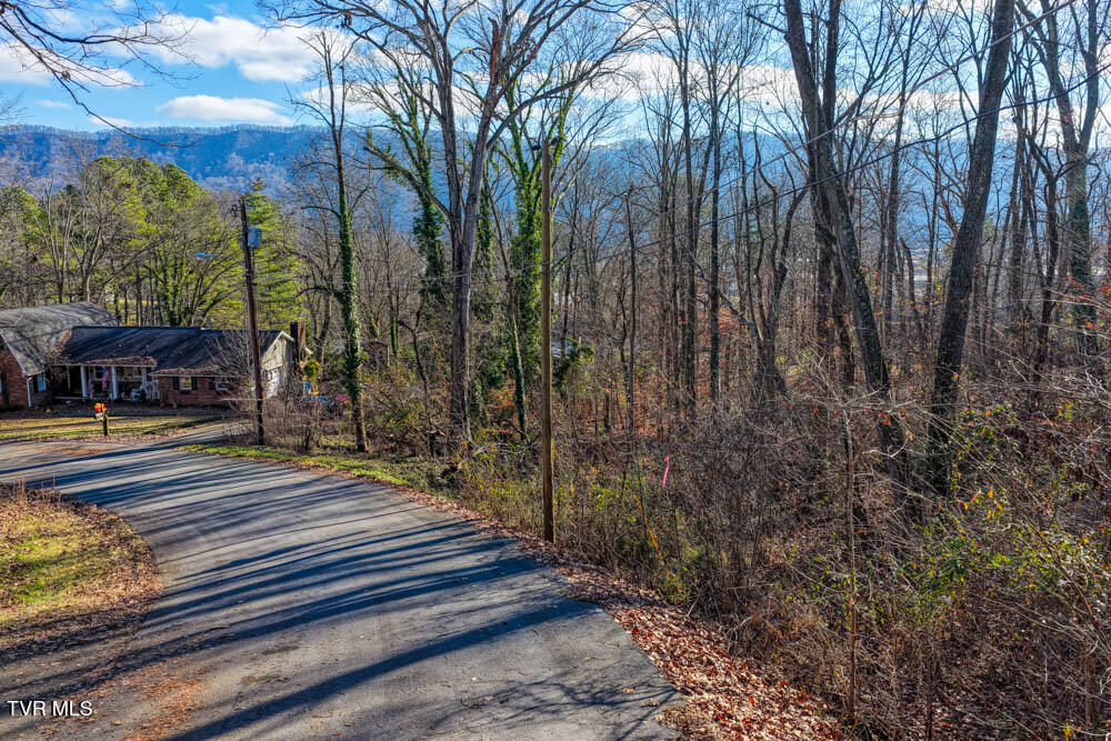 Tbd Blackheath Road, Unit 5 Kingsport, TN 37660 - Photo 7 of 10 IMG_9703