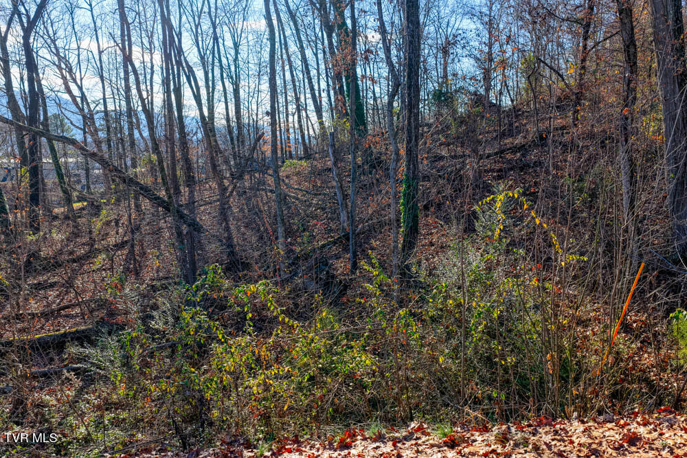 Tbd Blackheath Road, Unit 5 Kingsport, TN 37660 - Photo 8 of 10 IMG_9701