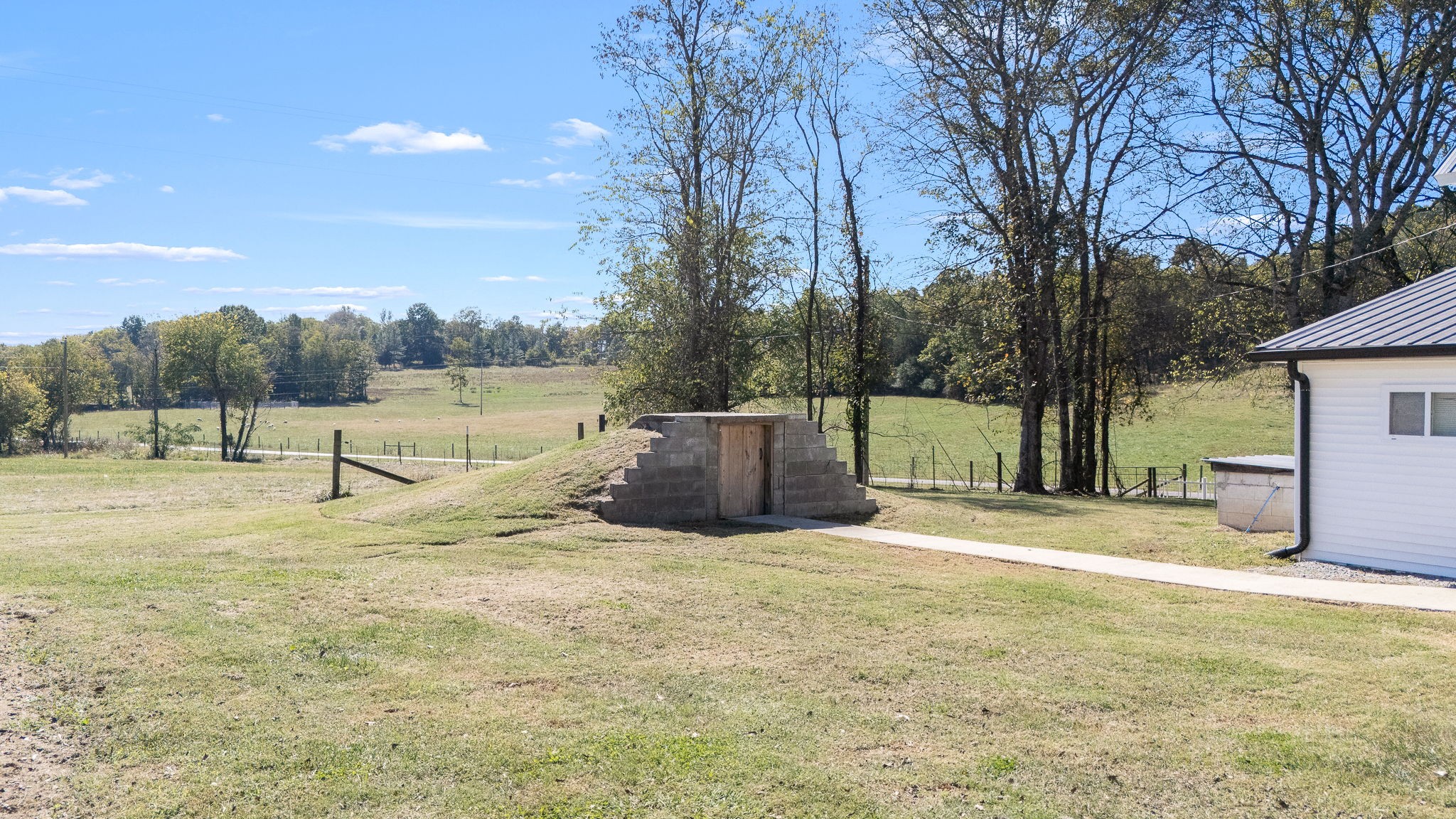 2180 Polly Adams Road Petersburg, TN 37144 - Photo 52 of 57 a view of big yard with a large tree