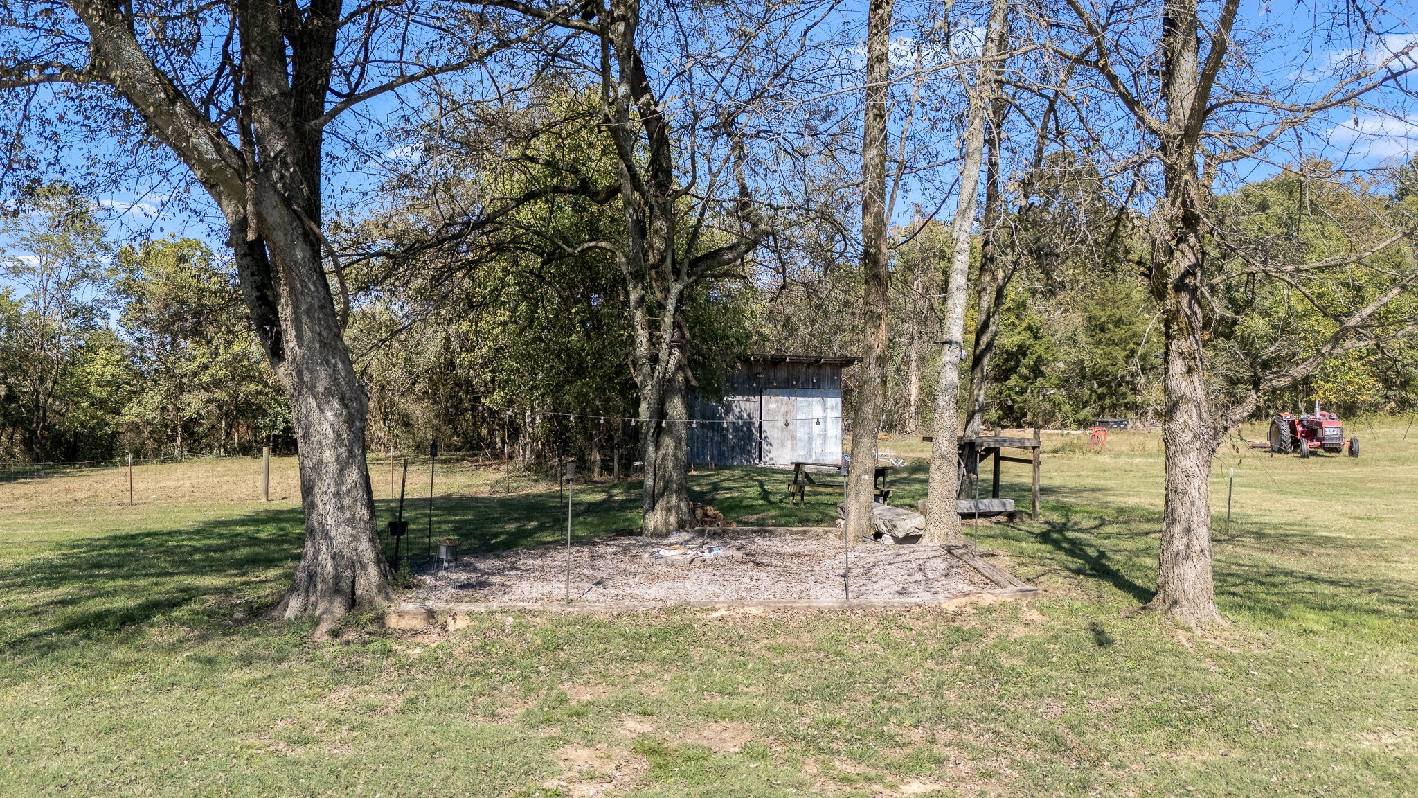 2180 Polly Adams Road Petersburg, TN 37144 - Photo 56 of 57 a view of backyard of trees