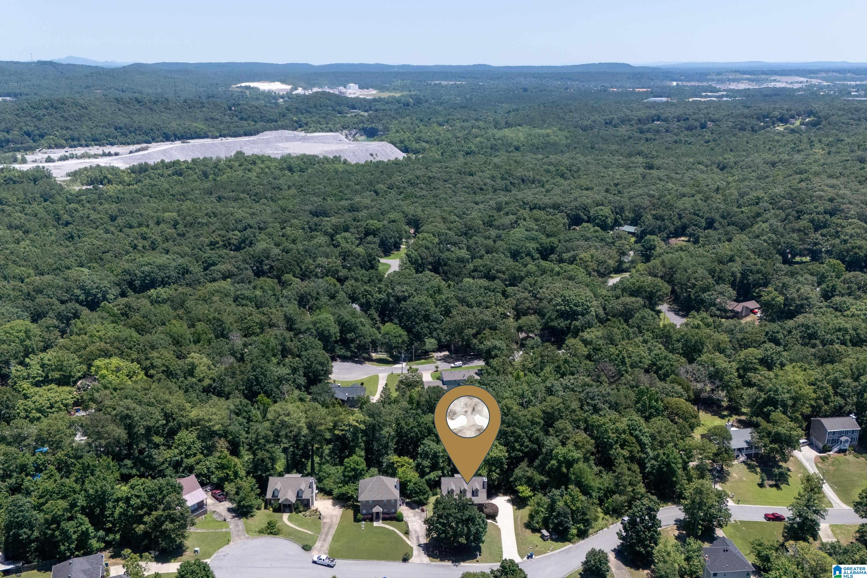 1433 Heather Lane Alabaster, AL 35007 - Photo 43 of 49