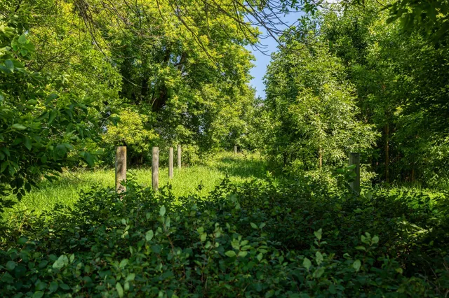 $16,330,000 | 9380 County Road 51, Cologne, MN 55322