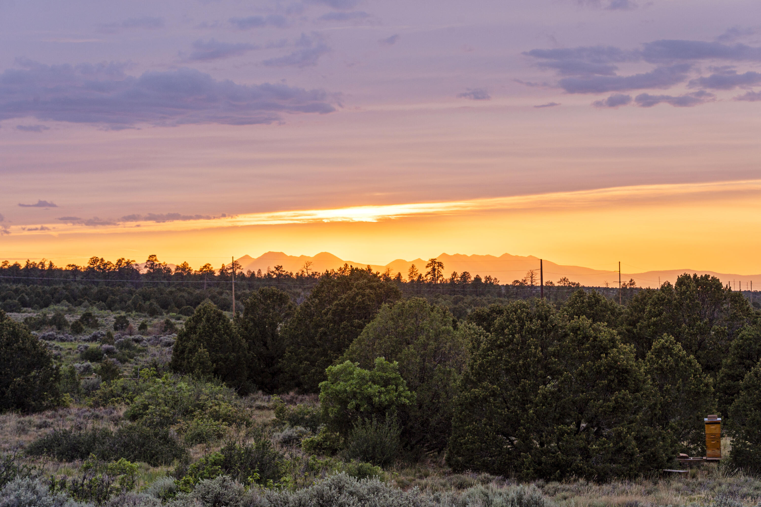 3100 South County Road Norwood, CO 81423 - Photo 13 of 44 a view of a sky