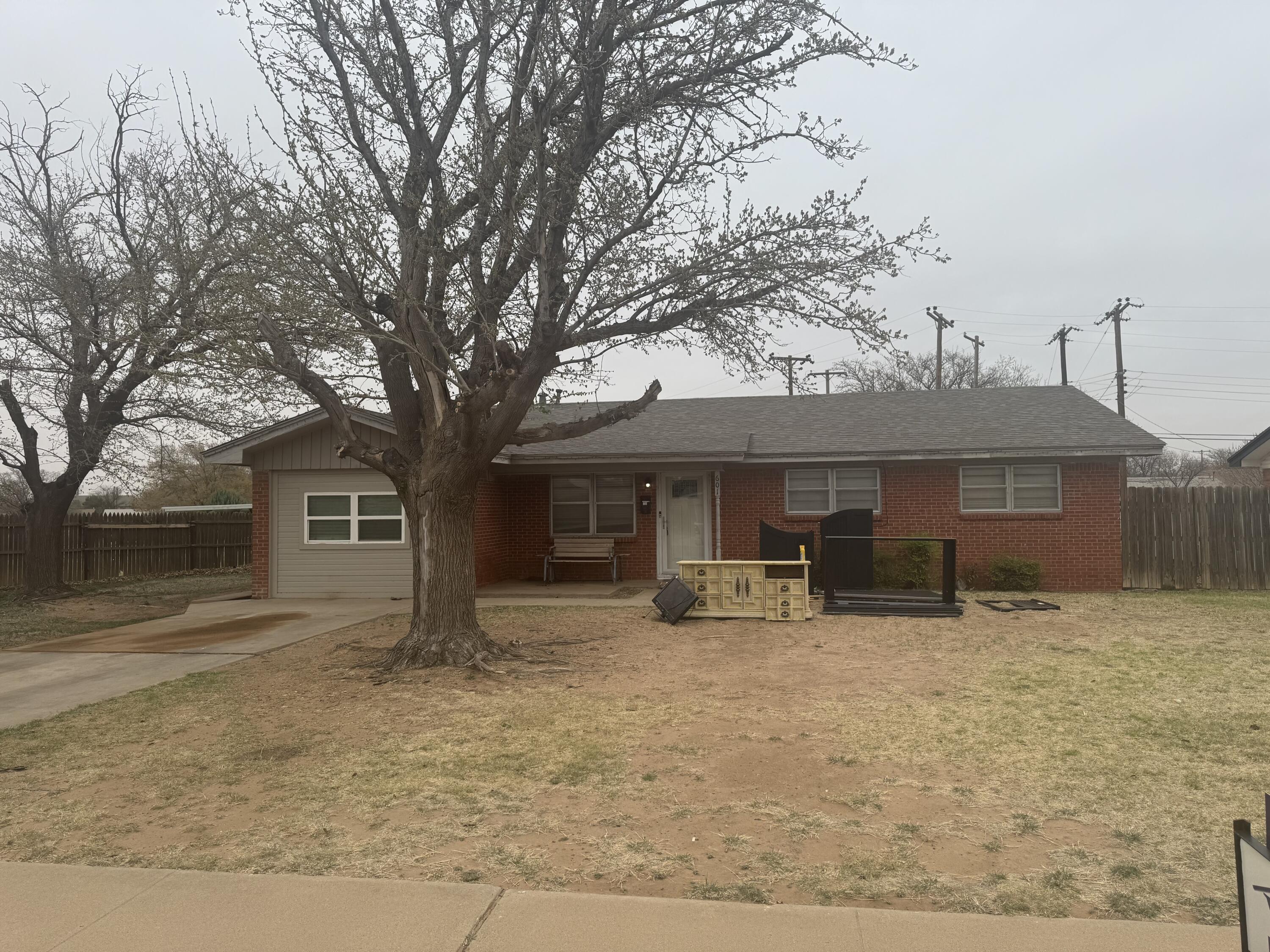 a house that has a tree in front of it