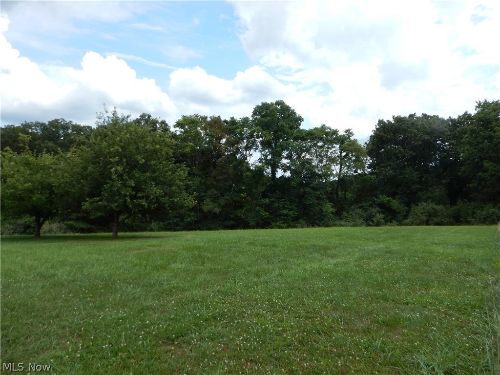 2445 Lake Washington Road Washington, WV 26181 - Photo 6 of 30 Gallery Image 6