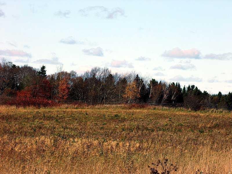 12-29 Lincoln Road Houlton, ME 04730 - Photo 23 of 25 Land.